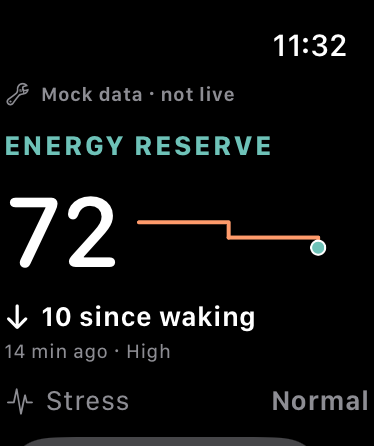 BodyReserve Apple Watch development screen showing Energy Reserve, change since waking and physiological stress, labelled mock data not live